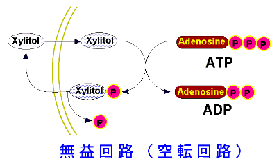 http://www.toothfriendly-sweets.jp/letter/kanmi/fig7b.gif