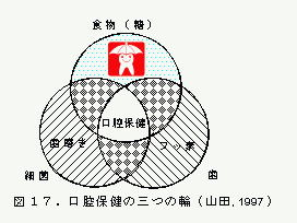 口腔保健の三つの輪（山田、1997）